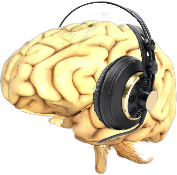 cervello cuffie